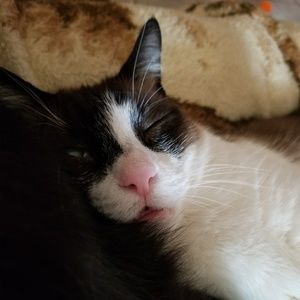 Meet your Posher, Charlotte